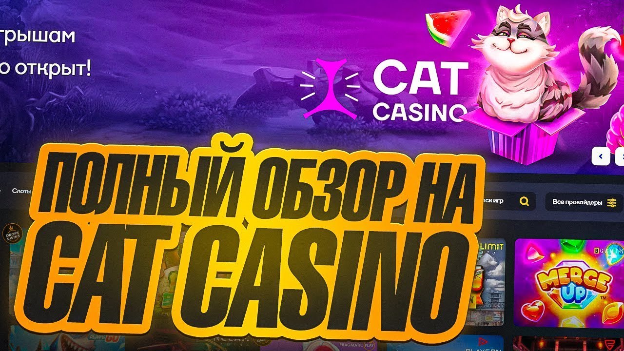 Промоакции Cat