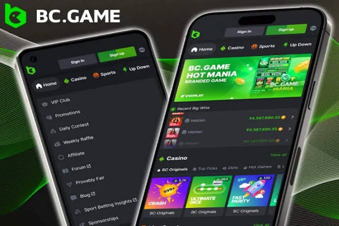 Unleash the Fun of Crypto Gaming at BC.Game